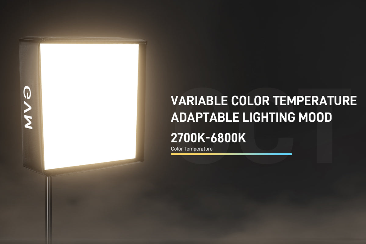 Adjustable Bi-Color Temperature