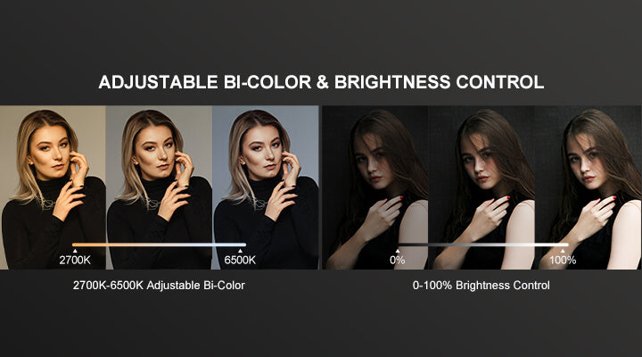 Dual Color Temperature & Stepless Dimming