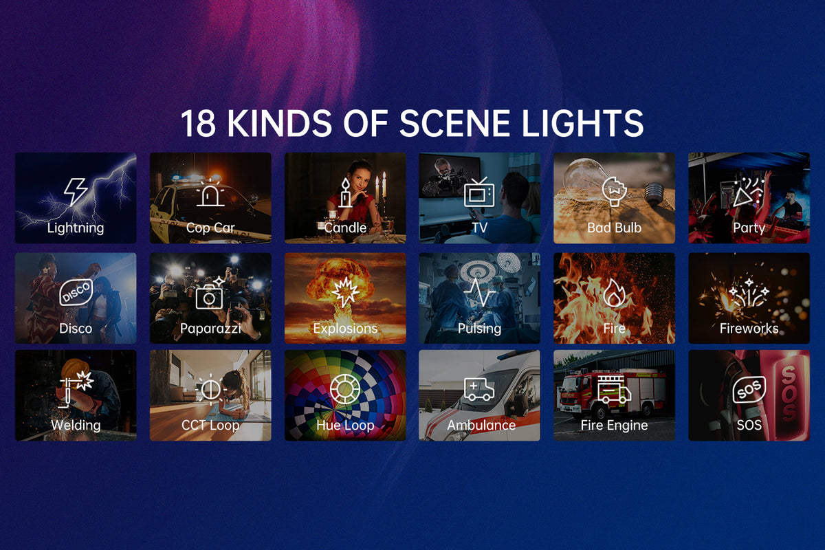 18 Scene Lights