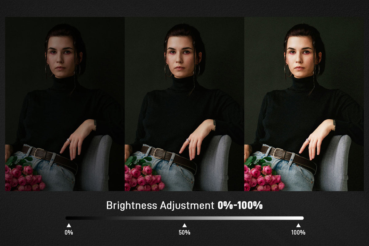 Powerful and Adjustable Brightness