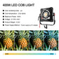 Flathead  FH400B  400W constant power Bi-color   flat  light - GVM