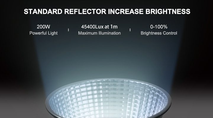 Powerful and Consistently Bright Light