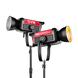 MonoLight