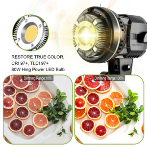 GVM P80S Spotlight 4-Light Kit with Umbrellas, Softboxes, and Backdrops - GVMLED