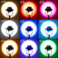 GVM SD200R RGB Bi-Color LED Video Lights Kit with Softbox - GVMLED